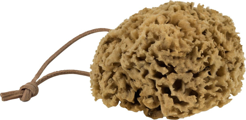 Se Mette Ditmer Ocean Body Sponge Str W11,5 x L12,5 cm - Håndklæder ❤ Stort online udvalg i Mette Ditmer ❤ Meget billig fragt og hurtig levering: 1 - 2 hverdage - Varenummer: MGS-S00637934 og barcode / Ean: 5706241945845 på lager - Udsalg på Bolig - Tekstiler & puder - Håndklæder Spar op til 59% - Over 1334 design brands på udsalg