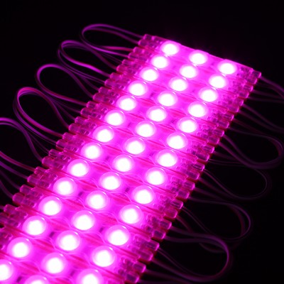 Vandtæt pink LED modul - 1,1W pr. stk, IP66, 12V, Perfekt til skilte og specialløsninger - Dæmpbar : Dæmpbar, Kulør : Pink