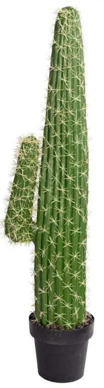 Se Kunstig kaktus - Højde 110 cm - Dekorativ høj kaktus - Kunstig gulvplante ❤ Kæmpe udvalg i Home-tex ❤ Hurtig levering: 1 - 2 Hverdage samt billig fragt - Varenummer: THX-PT452 og barcode / Ean: '5714580352668 på lager - Udsalg på Indretning - Dekorationer - Kunstige planter Spar op til 53% - Over 1124 kendte brands på udsalg