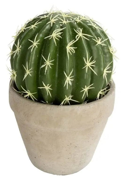 Se Kunstig kaktus - Højde 20 cm - Kugleformet og dekorativ kaktus - Kunstig stueplante ❤ Kæmpe udvalg i Home-tex ❤ Hurtig levering: 1 - 2 Hverdage samt billig fragt - Varenummer: THX-PT455 og barcode / Ean: '5714580353160 på lager - Udsalg på Indretning - Dekorationer - Kunstige planter Spar op til 52% - Over 1124 kendte brands på udsalg