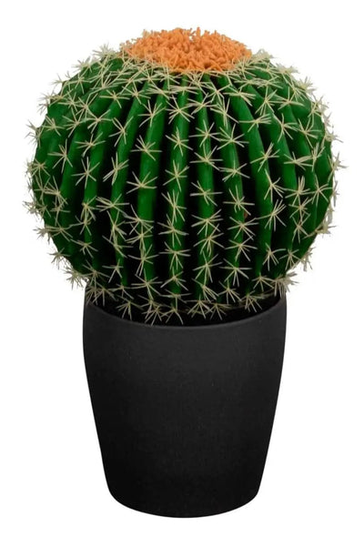 Se Kunstig kaktus - Højde 50 cm - Kugleformet og dekorativ kaktus - Kunstig stueplante ❤ Kæmpe udvalg i Home-tex ❤ Hurtig levering: 1 - 2 Hverdage samt billig fragt - Varenummer: THX-PT451 og barcode / Ean: '5714580352408 på lager - Udsalg på Indretning - Dekorationer - Kunstige planter Spar op til 54% - Over 1124 kendte brands på udsalg