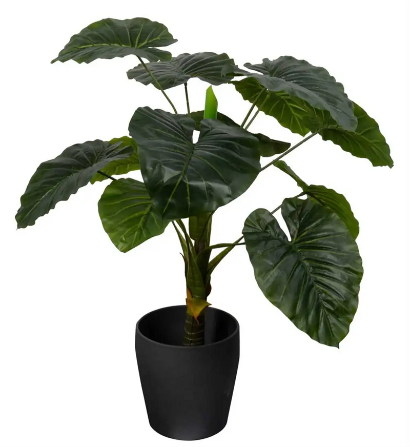 Se Kunstig Alocasia Odora Plante - Højde 90 cm - 1 stammet med grønne blade - Kunstig gulvplante ❤ Kæmpe udvalg i Home-tex ❤ Hurtig levering: 1 - 2 Hverdage samt billig fragt - Varenummer: THX-YD011 og barcode / Ean: &