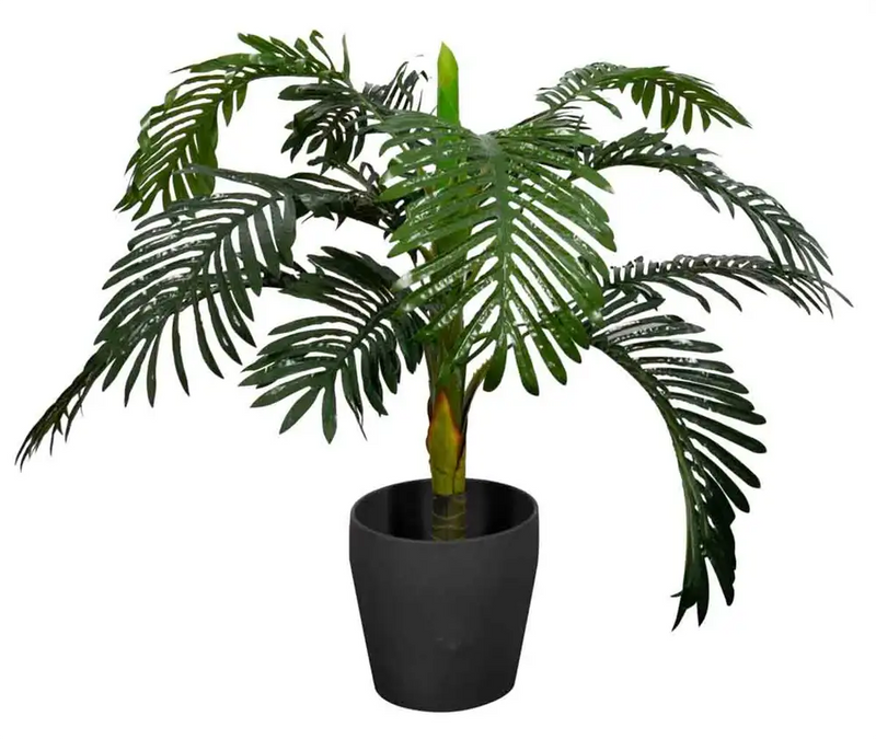 Se Kunstig Encephalartos Plante - Højde 110 cm - 1 stammet med grønne blade - Kunstig gulvplante ❤ Kæmpe udvalg i Home-tex ❤ Hurtig levering: 1 - 2 Hverdage samt billig fragt - Varenummer: THX-YD010 og barcode / Ean: &