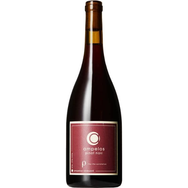 Se Pinot Noir Rho 2019 Ampelos Cellars ❤ Kæmpe udvalg i Ampelos Cellars ❤ Hurtig levering: 1 - 2 Hverdage samt billig fragt - Varenummer: BAR-771443 og barcode / Ean: på lager - Udsalg på Drikkevarer | Vin og champagne | Rødvin Spar op til 53% - Over 1124 kendte brands på udsalg