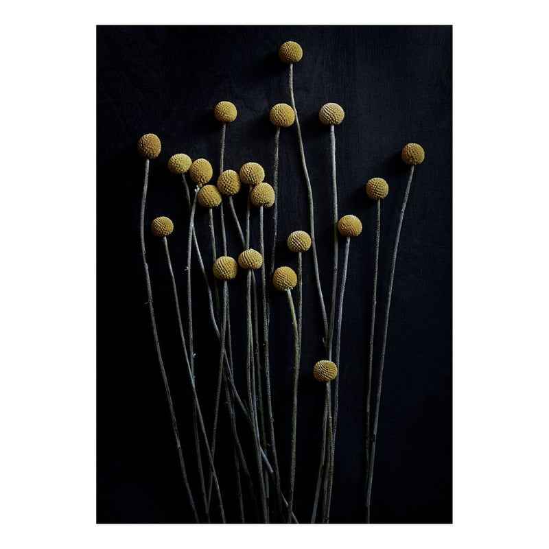 Se Paper Collective Still Life 01 Yellow Drumsticks plakat 50x70 cm ✔ Kæmpe udvalg i Paper Collective ✔ Hurtig levering: 1 - 2 Hverdage samt billig fragt - Varenummer: KTT-35541-02 og barcode / Ean: &