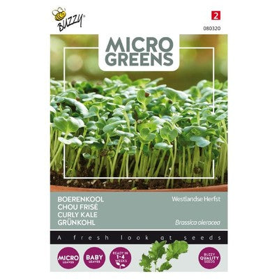 Microgreens - Grønkål Westland efterår