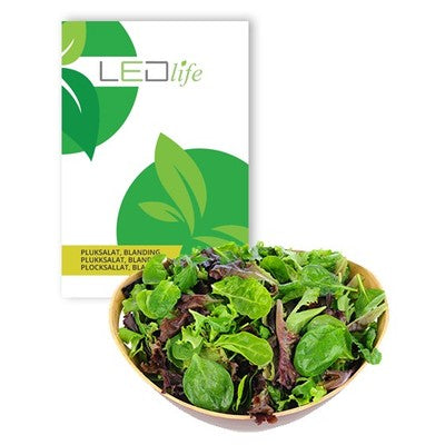 Outlet: Pluksalat frø - Baby Leaf blanding, 0,2g