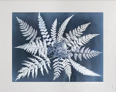 Se Fine Little Day "Fern star" plakat 40x50 cm ❤ Kæmpe udvalg i Fine Little Day ❤ Hurtig levering: 1 - 2 Hverdage samt billig fragt - Varenummer: NDN-512928-01 og barcode / Ean: '7340146610002 på lager - Udsalg på Home & Garden - Decor - Artwork - Posters, Prints, & Visual Artwork Spar op til 54% - Over 1354 design mærker på udsalg