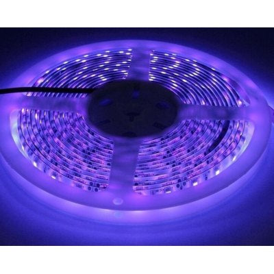 UV 400 nm 14,4W/m 24V LED strip - 5m, IP20, 60 LED pr. meter