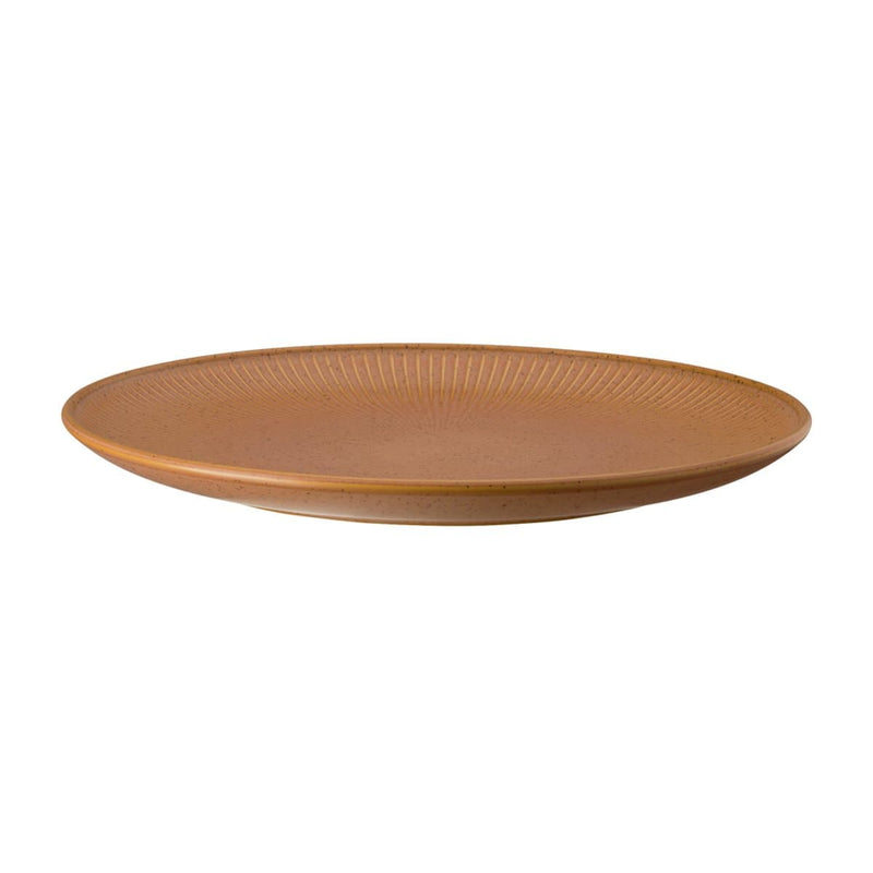 Se Rosenthal Thomas Clay tallerken Ø27 cm Orange ✔ Kæmpe udvalg i Rosenthal ✔ Hurtig levering: 1 - 2 Hverdage samt billig fragt - Varenummer: KTT-575072-01 og barcode / Ean: &