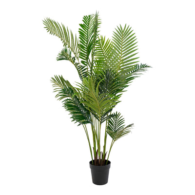 Se Areca Palme kunstige palme - 175 cm ✔ Kæmpe udvalg i  Zederkof ✔ Hurtig levering: 1 - 2 Hverdage samt billig fragt - Varenummer: ZDK-37918 og barcode / Ean:  på lager - Udsalg på Interiør > DEKOR OG ACCESSORIES > KUNSTIGE PLANTER Spar op til 59% - Over 1112 kendte brands på udsalg