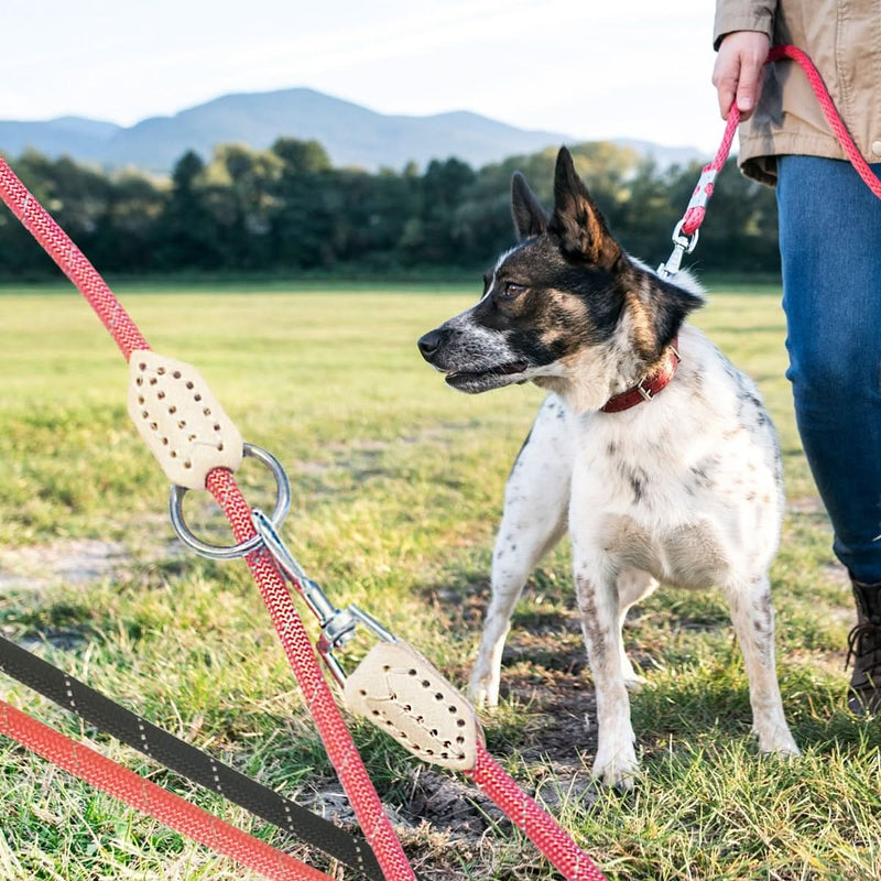 Se Hundesnor 2 meter m/karabinhage i krom - Rund - ø1 cm - ✔ Kæmpe udvalg i  Satana ✔ Hurtig levering: 1 - 2 Hverdage samt billig fragt - Varenummer: STAA-93946 og barcode / Ean:  på lager - Udsalg på Aktiv Livsstil > FRITID > Kæledyr Spar op til 59% - Over 1354 kendte mærker på udsalg