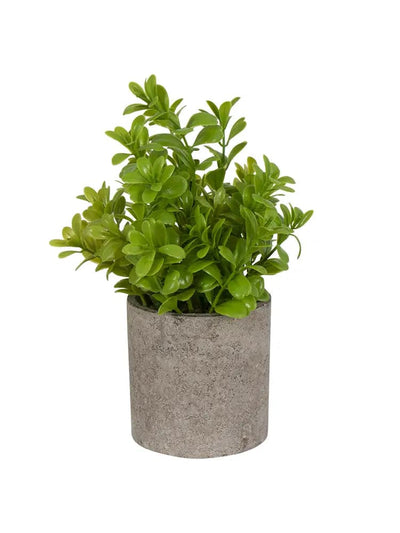 Se Kunstig plante - Højde 22 cm - Grøn kunstig potteplante til dit hjem eller kontor ❤ Kæmpe udvalg i Home-tex ❤ Hurtig levering: 1 - 2 Hverdage samt billig fragt - Varenummer: THX-PR454 og barcode / Ean: '5714803734844 på lager - Udsalg på Indretning - Dekorationer - Kunstige planter Spar op til 57% - Over 1150 kendte brands på udsalg