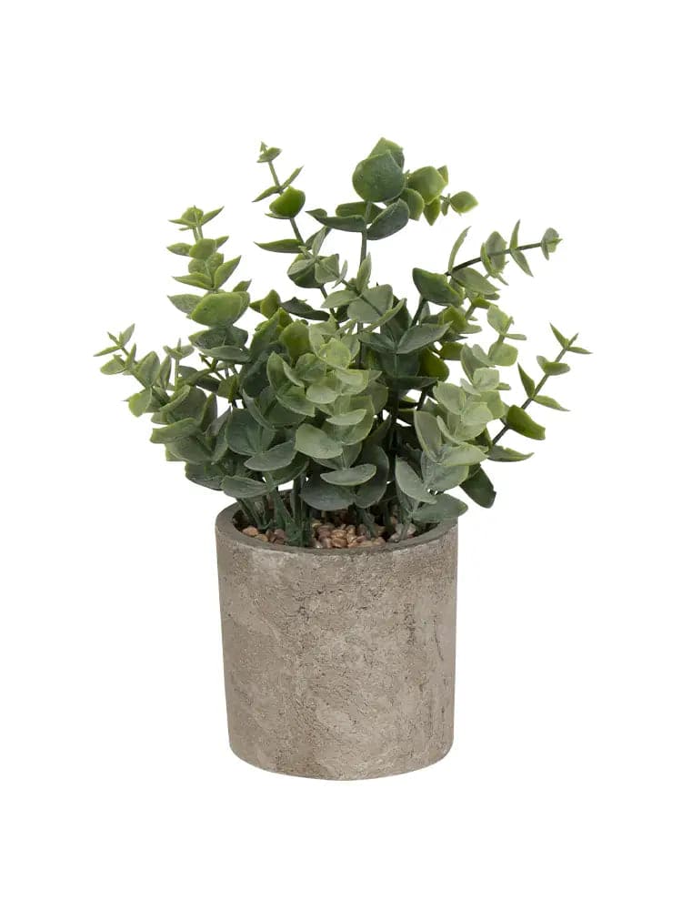 Se Kunstig eukalyptus - Højde 22 cm - Flotte nuancer - Kunstig stueplante til dit hjem ❤ Kæmpe udvalg i Home-tex ❤ Hurtig levering: 1 - 2 Hverdage samt billig fragt - Varenummer: THX-PR452 og barcode / Ean: &