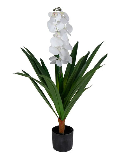 Se Kunstig Orkidé - 80 cm - Ét grenet hvide blomster - Kunstig blomst i sort potte ❤ Kæmpe udvalg i Home-tex ❤ Hurtig levering: 1 - 2 Hverdage samt billig fragt - Varenummer: THX-PR681 og barcode / Ean: '5714803734547 på lager - Udsalg på Indretning - Dekorationer - Kunstige planter Spar op til 58% - Over 1112 kendte brands på udsalg