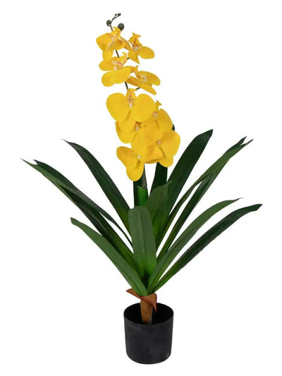 Se Kunstig Orkidé - 80 cm - Ét grenet gule blomster - Kunstig blomst i sort potte ❤ Kæmpe udvalg i Home-tex ❤ Hurtig levering: 1 - 2 Hverdage samt billig fragt - Varenummer: THX-PR681-1 og barcode / Ean: '5714803734554 på lager - Udsalg på Indretning - Dekorationer - Kunstige planter Spar op til 57% - Over 1112 kendte brands på udsalg