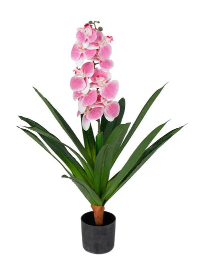 Se Kunstig Orkidé - 80 cm - Ét grenet pink blomster - Kunstig blomst i sort potte ❤ Kæmpe udvalg i Home-tex ❤ Hurtig levering: 1 - 2 Hverdage samt billig fragt - Varenummer: THX-PR681-2 og barcode / Ean: '5714803734813 på lager - Udsalg på Indretning - Dekorationer - Kunstige planter Spar op til 56% - Over 1112 kendte brands på udsalg
