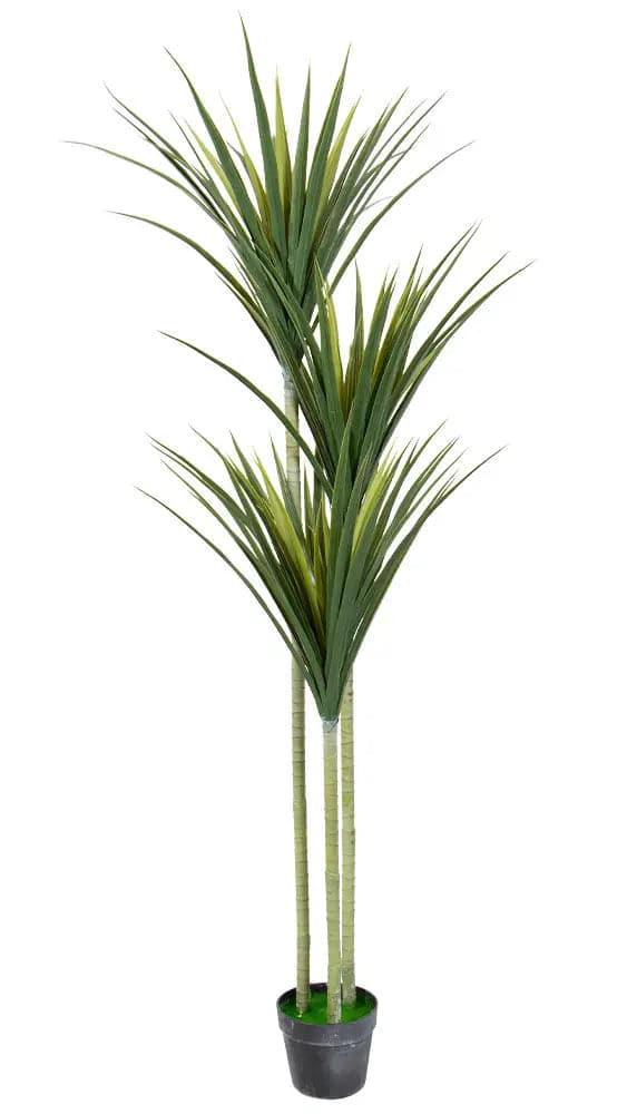 Se Kunstig 3 stammet palme 160cm høj - Dracaena Marginata palme ❤ Kæmpe udvalg i Home-tex ❤ Hurtig levering: 1 - 2 Hverdage samt billig fragt - Varenummer: THX-PR411 og barcode / Ean: &