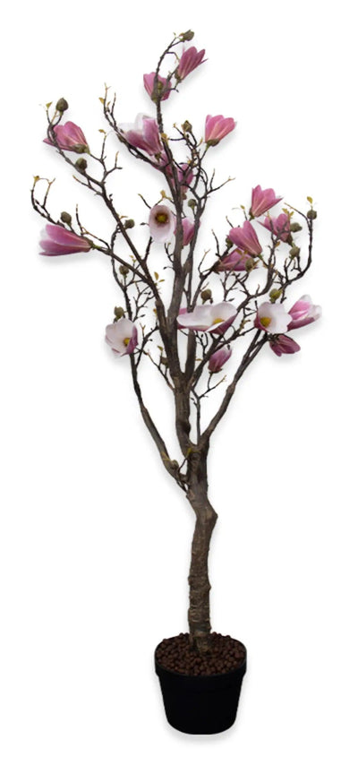 Se Magnolia træ i lilla - 156 cm - Kunstigt magnoliatræ med flotte blomsterhoveder og knopper ❤ Kæmpe udvalg i Home-tex ❤ Hurtig levering: 1 - 2 Hverdage samt billig fragt - Varenummer: THX-PR697 og barcode / Ean: '5714580367419 på lager - Udsalg på Indretning - Dekorationer - Kunstige planter Spar op til 64% - Over 1112 kendte brands på udsalg