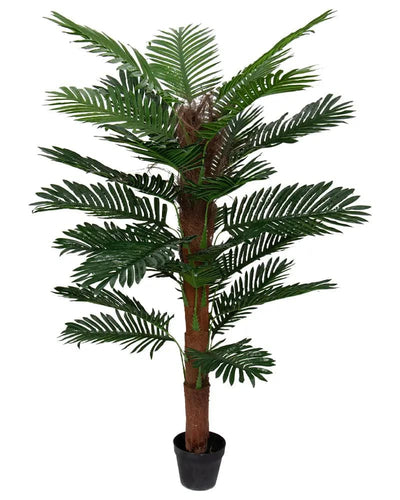 Se Tropisk palme - 140 cm høj - Kunstig palme mosstok i sort potte - ❤ Kæmpe udvalg i Home-tex ❤ Hurtig levering: 1 - 2 Hverdage samt billig fragt - Varenummer: THX-PR400-1 og barcode / Ean: '5714803734875 på lager - Udsalg på Indretning - Dekorationer - Kunstige planter Spar op til 52% - Over 1150 kendte brands på udsalg