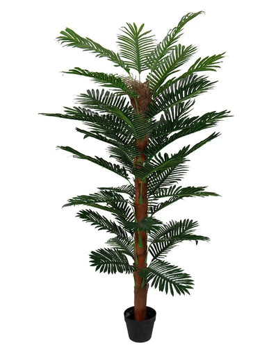 Se Tropisk palme - 180 cm høj - Kunstig palme mosstok i sort potte - ❤ Kæmpe udvalg i Home-tex ❤ Hurtig levering: 1 - 2 Hverdage samt billig fragt - Varenummer: THX-PR400-2 og barcode / Ean: '5714803734622 på lager - Udsalg på Indretning - Dekorationer - Kunstige planter Spar op til 51% - Over 1150 kendte brands på udsalg