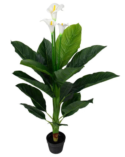 Se Kunstig plante - Højde 120 cm - Dekorative Calla med 3 smukke hvide blomster ❤ Kæmpe udvalg i Home-tex ❤ Hurtig levering: 1 - 2 Hverdage samt billig fragt - Varenummer: THX-PR401 og barcode / Ean: '5714803734752 på lager - Udsalg på Indretning - Dekorationer - Kunstige planter Spar op til 67% - Over 1150 kendte brands på udsalg