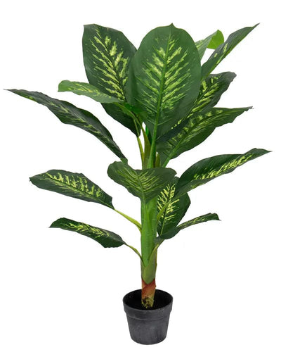 Se Kunstig plante 90 cm høj - Dieffenbachia Tropic Snow med flotte store blade ❤ Kæmpe udvalg i Home-tex ❤ Hurtig levering: 1 - 2 Hverdage samt billig fragt - Varenummer: THX-PR408 og barcode / Ean: '5714803734905 på lager - Udsalg på Indretning - Dekorationer - Kunstige planter Spar op til 59% - Over 1150 kendte brands på udsalg