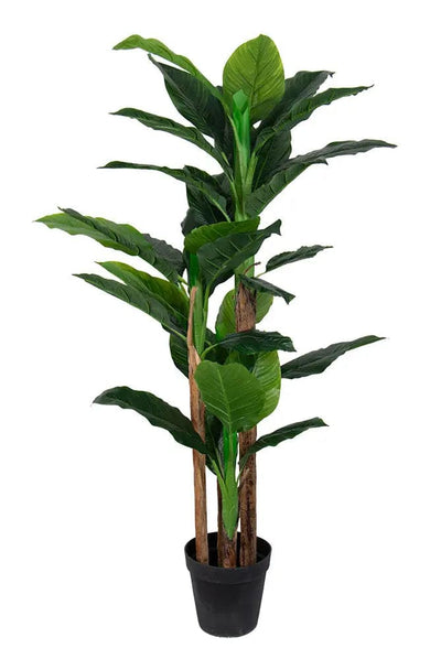 Se Kunstig bananpalme - 2 meter høj - Stor og flot med 3 stammer ❤ Kæmpe udvalg i Home-tex ❤ Hurtig levering: 1 - 2 Hverdage samt billig fragt - Varenummer: THX-PR410 og barcode / Ean: '5714803734653 på lager - Udsalg på Indretning - Dekorationer - Kunstige planter Spar op til 57% - Over 1150 kendte brands på udsalg