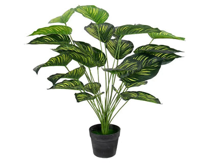 Se Kunstig plante 70 cm - Calathera med store flotte grønne blade ❤ Kæmpe udvalg i Home-tex ❤ Hurtig levering: 1 - 2 Hverdage samt billig fragt - Varenummer: THX-PR415 og barcode / Ean: '5714803734936 på lager - Udsalg på Indretning - Dekorationer - Kunstige planter Spar op til 52% - Over 1150 kendte brands på udsalg