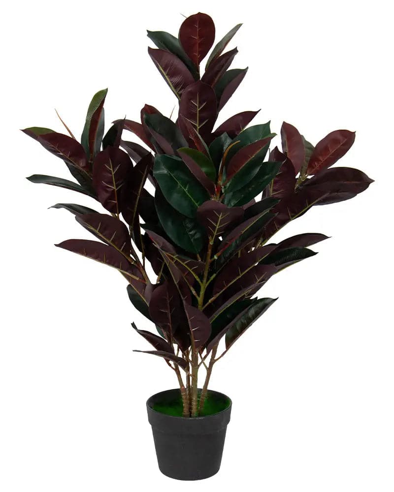 Se Kunstig gummi plante 80 cm høj - Ficus elastica med rødlige blade ❤ Kæmpe udvalg i Home-tex ❤ Hurtig levering: 1 - 2 Hverdage samt billig fragt - Varenummer: THX-PR417 og barcode / Ean: &