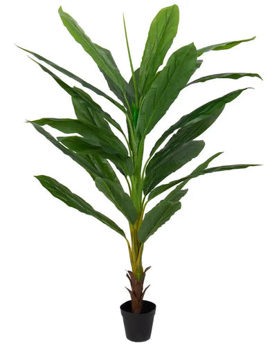 Se Kunstig bananpalme 160 cm høj - Stor og flot kunstig plante ❤ Kæmpe udvalg i Home-tex ❤ Hurtig levering: 1 - 2 Hverdage samt billig fragt - Varenummer: THX-PR418 og barcode / Ean: '5714803734943 på lager - Udsalg på Indretning - Dekorationer - Kunstige planter Spar op til 66% - Over 1150 kendte brands på udsalg