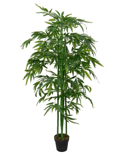 Se Kunstig bambusplante - 180 cm høj - Kunstig plante til boligen ❤ Kæmpe udvalg i Home-tex ❤ Hurtig levering: 1 - 2 Hverdage samt billig fragt - Varenummer: THX-PR582-1 og barcode / Ean: '5714803735209 på lager - Udsalg på Indretning - Dekorationer - Kunstige planter Spar op til 61% - Over 1112 kendte brands på udsalg