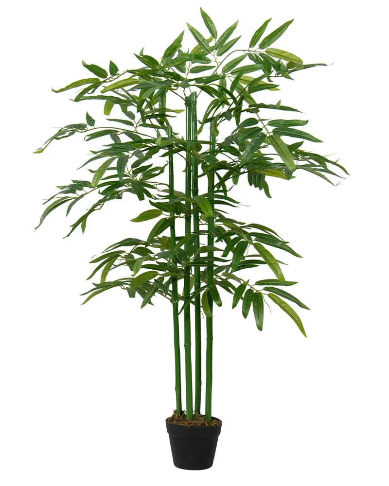 Se Kunstig bambusplante 120 cm høj - Kunstig plante til boligen ❤ Kæmpe udvalg i Home-tex ❤ Hurtig levering: 1 - 2 Hverdage samt billig fragt - Varenummer: THX-PR582 og barcode / Ean: &