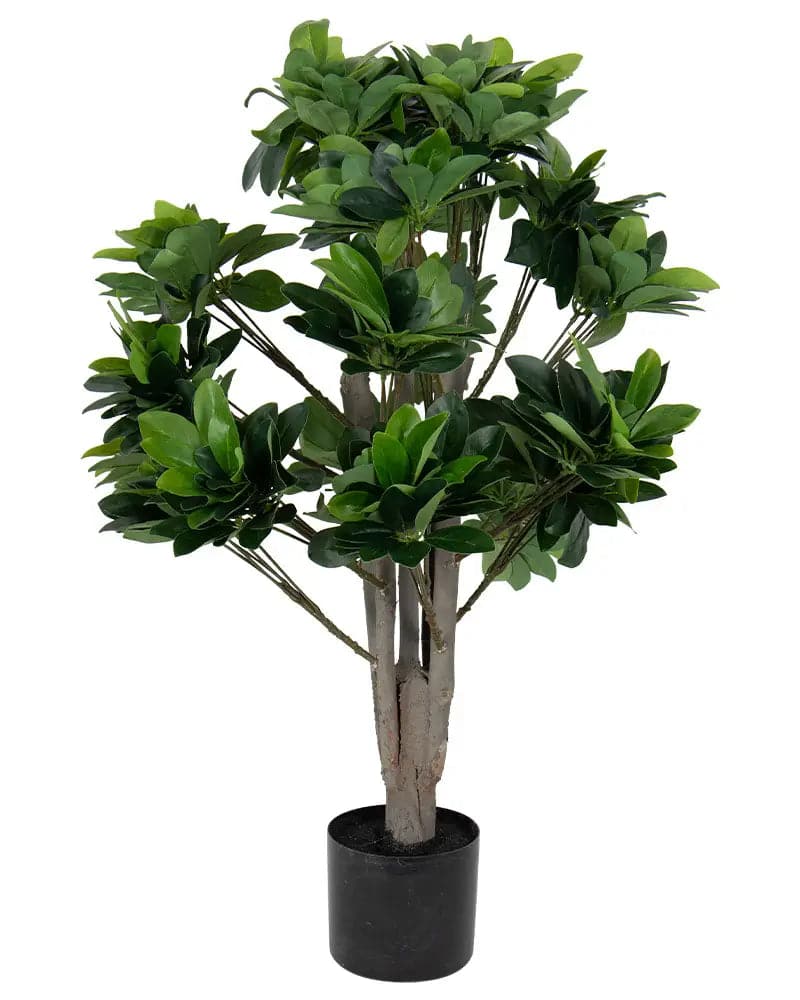 Se Kunstig plante 90 cm høj - Grøn kunstig Schefflera plante med potte ❤ Kæmpe udvalg i Home-tex ❤ Hurtig levering: 1 - 2 Hverdage samt billig fragt - Varenummer: THX-PR687 og barcode / Ean: &