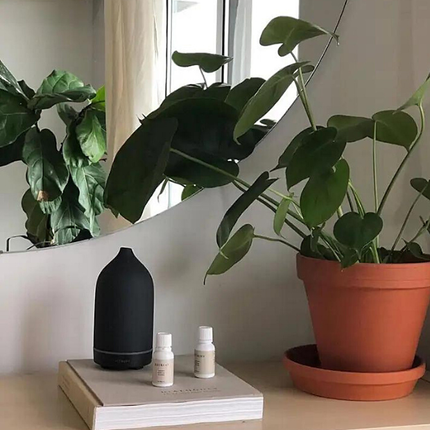 Se tilbud på Aroma stendiffuser - Sort. Billigt udsalg! Hurtig levering (1-2 dage) og billig fragt. Over 1312 kendte brands på udsalg.