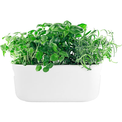 Se Eva Solo Selvvandende Herb Organiser Hvid ✔ Stort online udvalg i Eva Solo ✔ Hurtig levering: 1 - 2 Hverdage samt billig fragt - Varenummer: KTO-568168 og barcode / Ean: '5706631191692 på lager - Udsalg på Krydderurteholder Spar op til 55% - Over 1312 kendte brands på udsalg