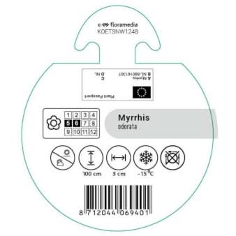 Se Spansk Kørvel Bakke med 12 stk. ❤ Kæmpe udvalg i Plantetorvet ❤ Hurtig levering: 1 - 2 Hverdage samt billig fragt - Varenummer: PTT-96069 og barcode / Ean: på lager - Udsalg på Krydderurter > Kørvel Spar op til 64% - Over 785 kendte brands på udsalg