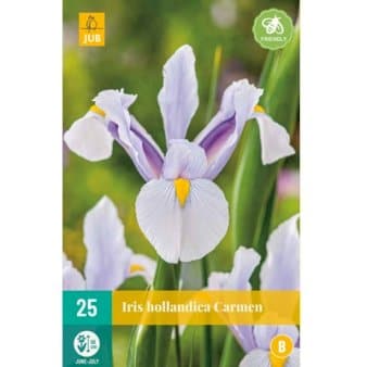 Se Hollandsk Iris 'Carmen' » Kæmpe udvalg i Plantetorvet » Hurtig levering: 1 - 2 Hverdage samt billig fragt - Varenummer: PTT-88244 og barcode / Ean: på lager - Udsalg på Blomsterløg > Iris Spar op til 66% - Over 1192 kendte brands på udsalg