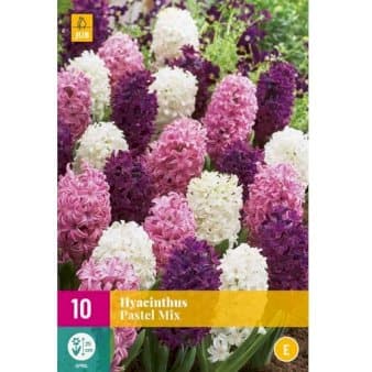 Se Hyacinth 'Pastel' mix XXL » Kæmpe udvalg i Plantetorvet » Hurtig levering: 1 - 2 Hverdage samt billig fragt - Varenummer: PTT-88296 og barcode / Ean: på lager - Udsalg på Blomsterløg > Hyacinther Spar op til 55% - Over 1124 kendte brands på udsalg