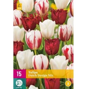 Se Tulipan 'Dutch Design' mix XXL » Kæmpe udvalg i Plantetorvet » Hurtig levering: 1 - 2 Hverdage samt billig fragt - Varenummer: PTT-88310 og barcode / Ean: på lager - Udsalg på Blomsterløg > Tulipaner Spar op til 62% - Over 1124 kendte brands på udsalg