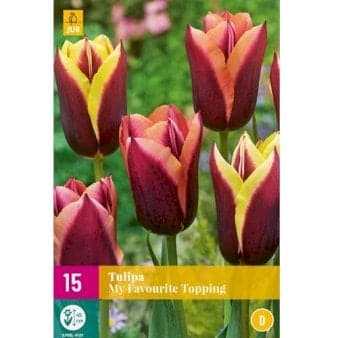 Se Tulipan 'My Favourite Topping' mix XXL » Kæmpe udvalg i Plantetorvet » Hurtig levering: 1 - 2 Hverdage samt billig fragt - Varenummer: PTT-88320 og barcode / Ean: på lager - Udsalg på Blomsterløg > Tulipaner Spar op til 67% - Over 1124 kendte brands på udsalg