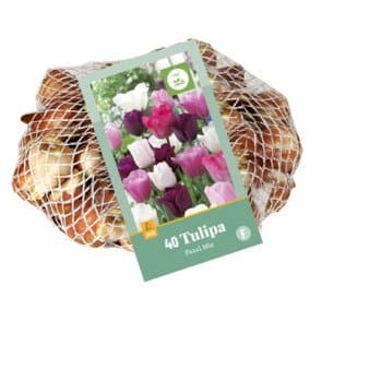 Se Tulipan 'Pastel' mix Net » Kæmpe udvalg i Plantetorvet » Hurtig levering: 1 - 2 Hverdage samt billig fragt - Varenummer: PTT-88397 og barcode / Ean: på lager - Udsalg på Blomsterløg > Tulipaner Spar op til 57% - Over 1124 kendte brands på udsalg