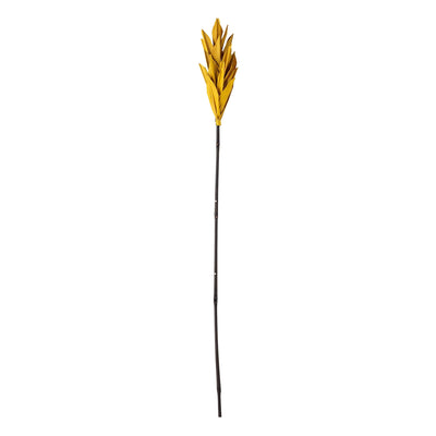 Se Bloomingville - Olise Deko Blomst, Natur, Palm Leaf H93 cm ❤ Stort online udvalg i Bloomingville ❤ Hurtig levering: 1 - 2 Hverdage samt billig fragt ❤ Varenummer: BGH-47101215473994 og barcode / Ean: '5711173266524 på lager - Udsalg på Alle produkter Spar op til 53% - Over 360 kendte mærker på udsalg