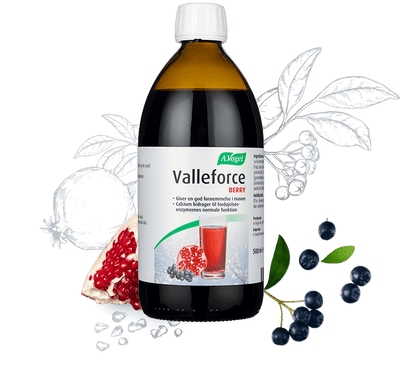 Se Valleforce Original Berry 500 ml. ❤ Kæmpe udvalg i Blandet ❤ Hurtig levering: 1 - 2 Hverdage samt billig fragt - Varenummer: HG-4061 og barcode / Ean: '7610313415977 på lager - Udsalg på Sundhed Spar op til 66% - Over 454 kendte brands på udsalg