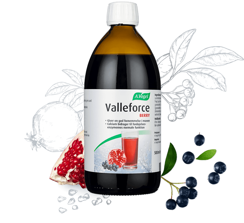 Se Valleforce Original Berry 500 ml. ❤ Kæmpe udvalg i Blandet ❤ Hurtig levering: 1 - 2 Hverdage samt billig fragt - Varenummer: HG-4061 og barcode / Ean: &