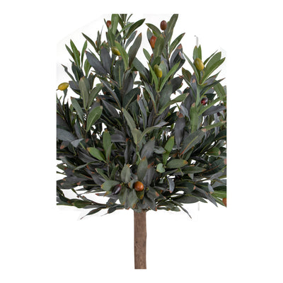 Se Oliventræ - Kunstigt plante 120 cm ❤ Stort online udvalg i House Nordic ❤ Hurtig levering: 1 - 2 Hverdage samt billig fragt ❤ Varenummer: BGH-42135253876988 og barcode / Ean: '5713917004539 på lager - Udsalg på Alle produkter Spar op til 67% - Over 785 kendte brands på udsalg