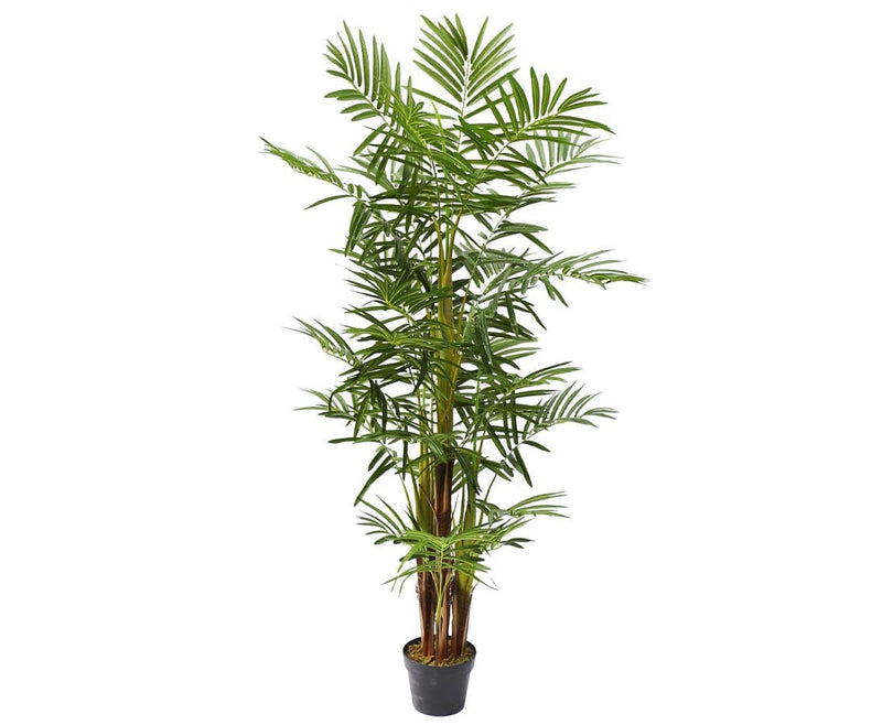 Se Areca palme 160 cm med 25 palmeblade - flerstammet ❤ Stort online udvalg i Designhome ❤ Hurtig levering: 1 - 2 Hverdage samt billig fragt ❤ Varenummer: DHE-9726 og barcode / Ean: på lager - Udsalg på Kunstige træer Spar op til 67% - Over 454 design mærker på udsalg