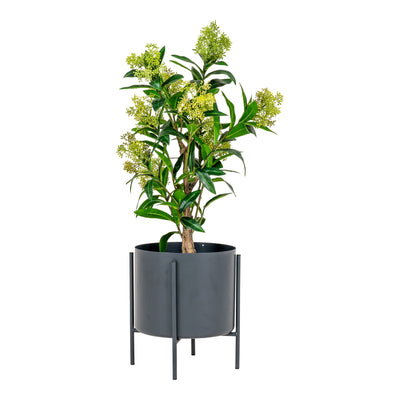 Se House Nordic - Skimmia Træ H75 cm ❤ Stort online udvalg i House Nordic ❤ Hurtig levering: 1 - 2 Hverdage samt billig fragt ❤ Varenummer: BGH-46440079196490 og barcode / Ean: '5713917022595 på lager - Udsalg på Alle produkter Spar op til 51% - Over 454 kendte brands på udsalg