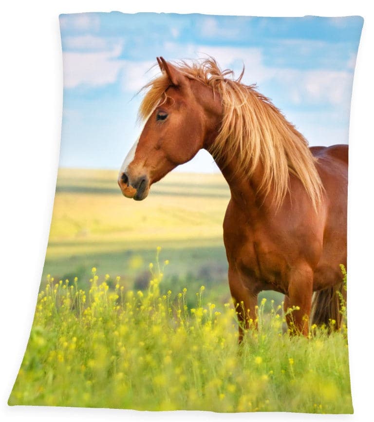 Se Heste Fleece tæppe - 130 x 160 cm ✔ Kæmpe udvalg i Herding ✔ Hurtig levering: 1 - 2 Hverdage samt billig fragt - Varenummer: MMA-2010242 og barcode / Ean: &