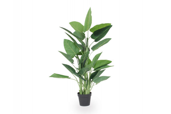Se Kunstig plante - 125 cm ❤ Stort online udvalg i KopK ❤ Hurtig levering: 1 - 2 Hverdage samt billig fragt ❤ Varenummer: HML-DK1683 og barcode / Ean: &